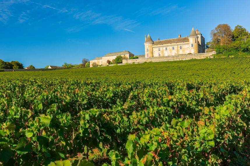 Vini francesi: un viaggio tra i vigneti della Loira